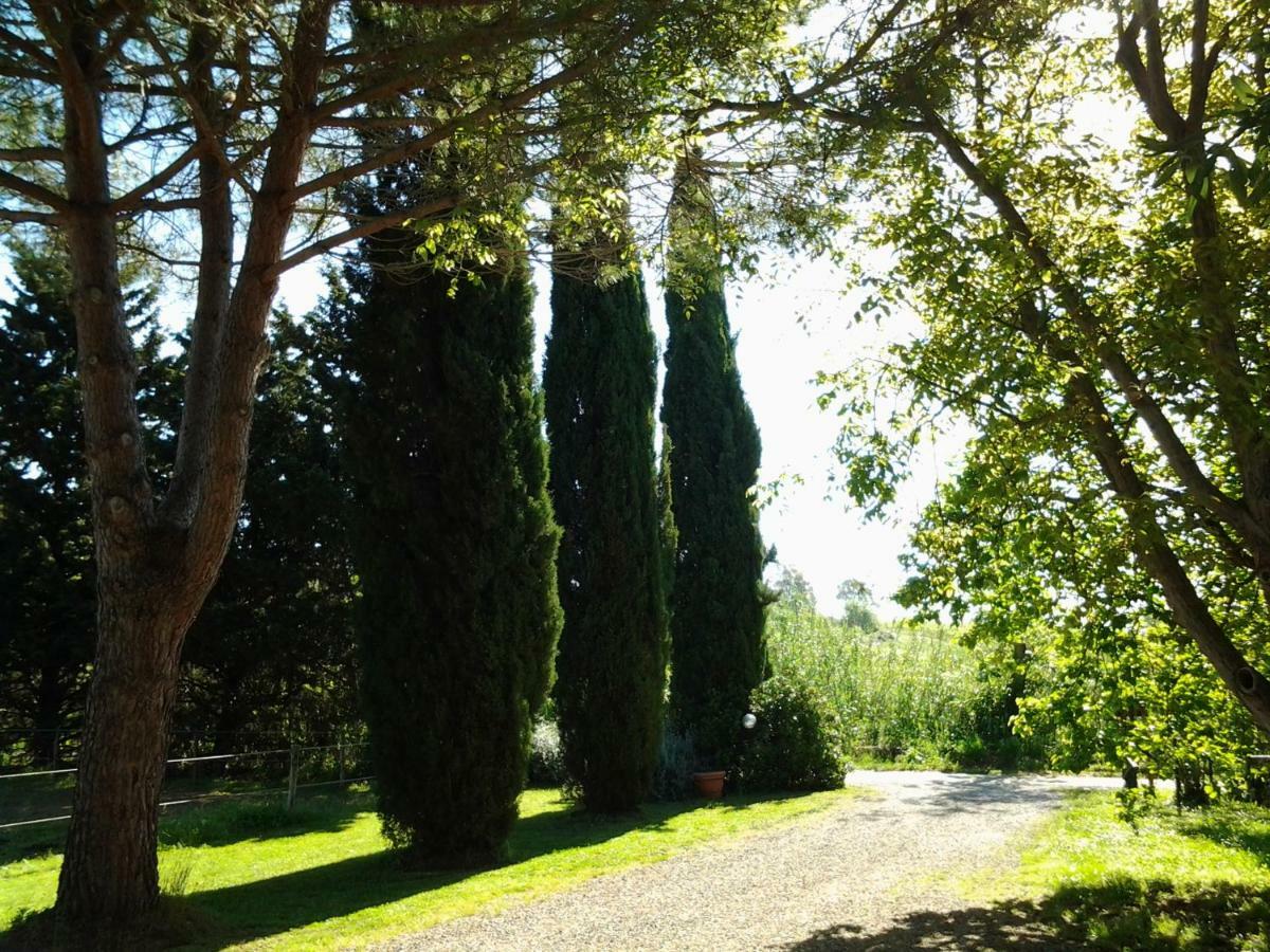 Agriturismo Piana Arborello Hotel มาลียาโน อิน ตอสกานา ภายนอก รูปภาพ