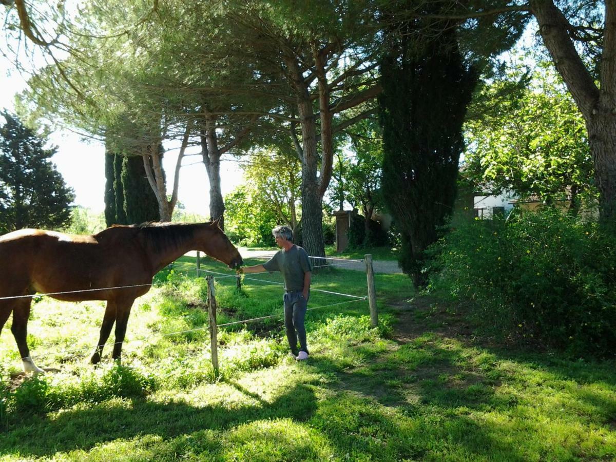 Agriturismo Piana Arborello Hotel มาลียาโน อิน ตอสกานา ภายนอก รูปภาพ