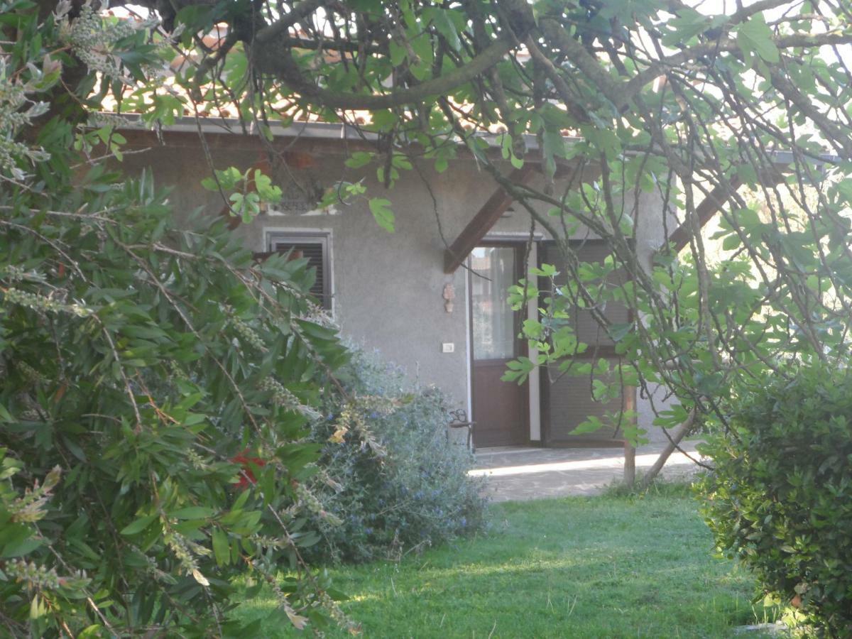 Agriturismo Piana Arborello Hotel มาลียาโน อิน ตอสกานา ภายนอก รูปภาพ