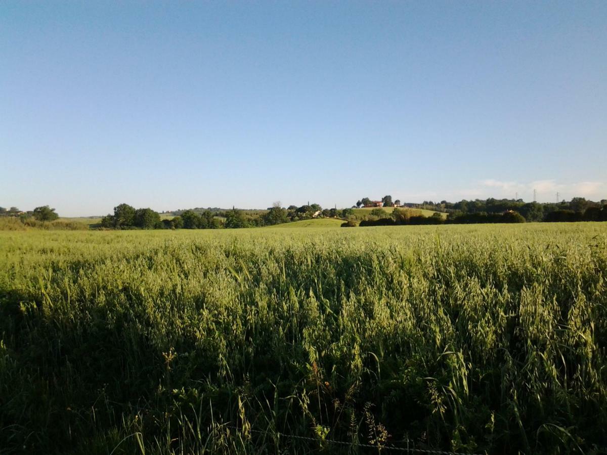 Agriturismo Piana Arborello Hotel มาลียาโน อิน ตอสกานา ภายนอก รูปภาพ